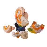 Erler Zimmer Modell - Hirnfunktionen, 2-fache...