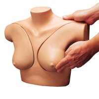 Erler Zimmer - Brustuntersuchung Übungsmodell mit 9...