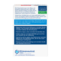 Doppelherz aktiv Magnesium 400 + B-Komplex, 6x15 Brausetabletten