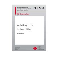 Holthaus Medical Broschüre zur Ersten Hilfe nach BGI...