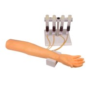 Erler Zimmer Trainingsarm 7010 für intravenöse...
