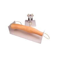Erler Zimmer Trainingsarm 7020 für intravenöse...