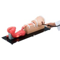 Erler Zimmer Simulator - Oesophago-Gastro-Duodenoskopie...
