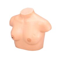 Erler Zimmer - Brustkrebsvorsorge-Tastmodell, div....