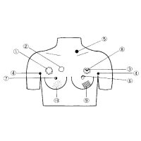 Erler Zimmer - Brustkrebsvorsorge-Tastmodell, div....