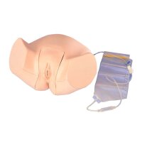 Erler Zimmer Simulator - Katheterisierungsmodell, weiblich