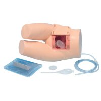 Erler Zimmer Einlauf-Simulator, Unterkörper
