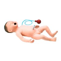Erler Zimmer Trainer - Intubations- und...