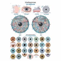 Erler Zimmer anatomische Lehrtafel - Irisdiagnose, 2...